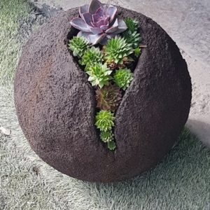מזרקה לגינה בצורת כדור עם סקולנטים